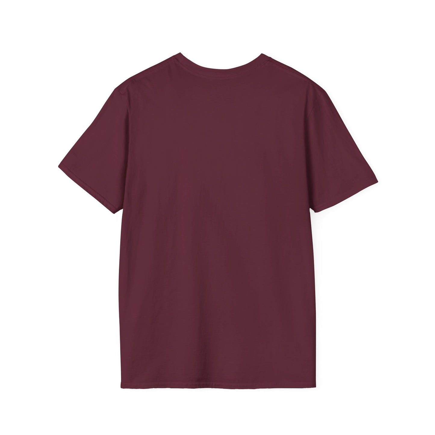 Divergent Routes, Shared Destination Unisex Softstyle T-Shirt