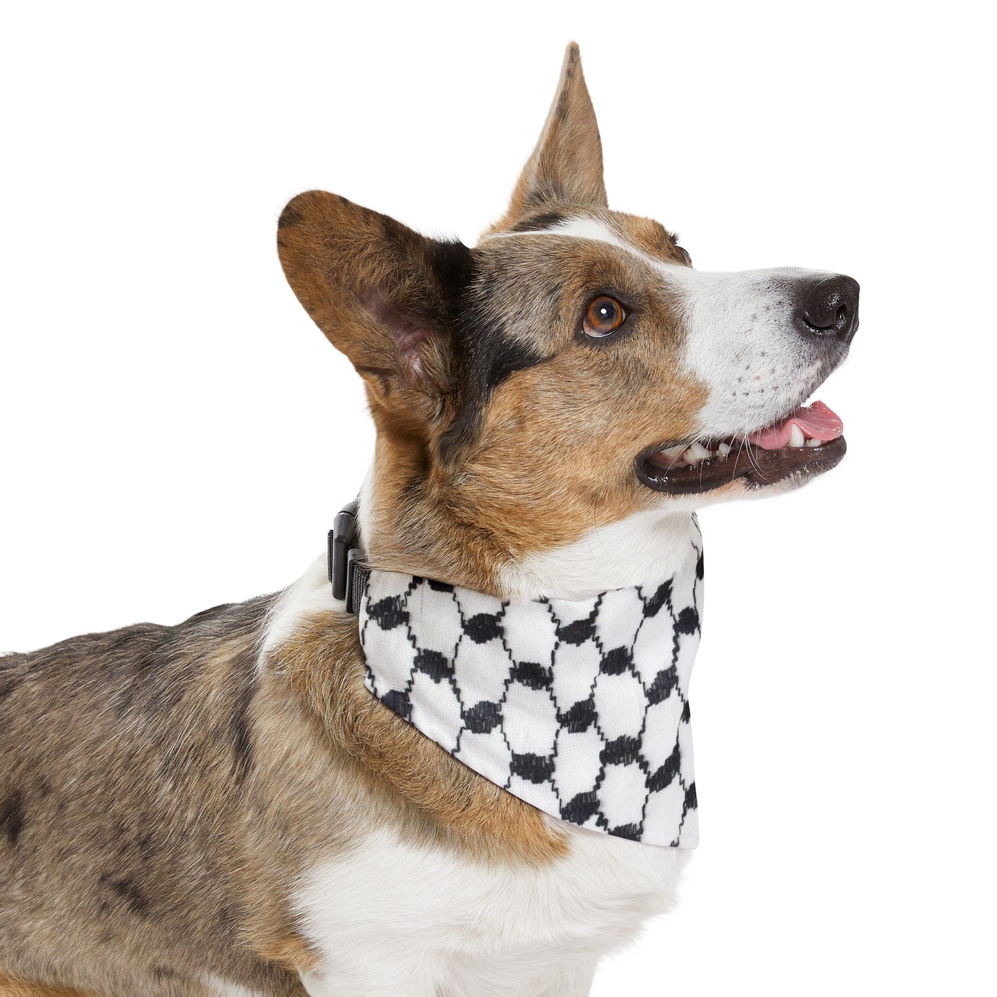 Pet Bandana Collar keffiyeh print