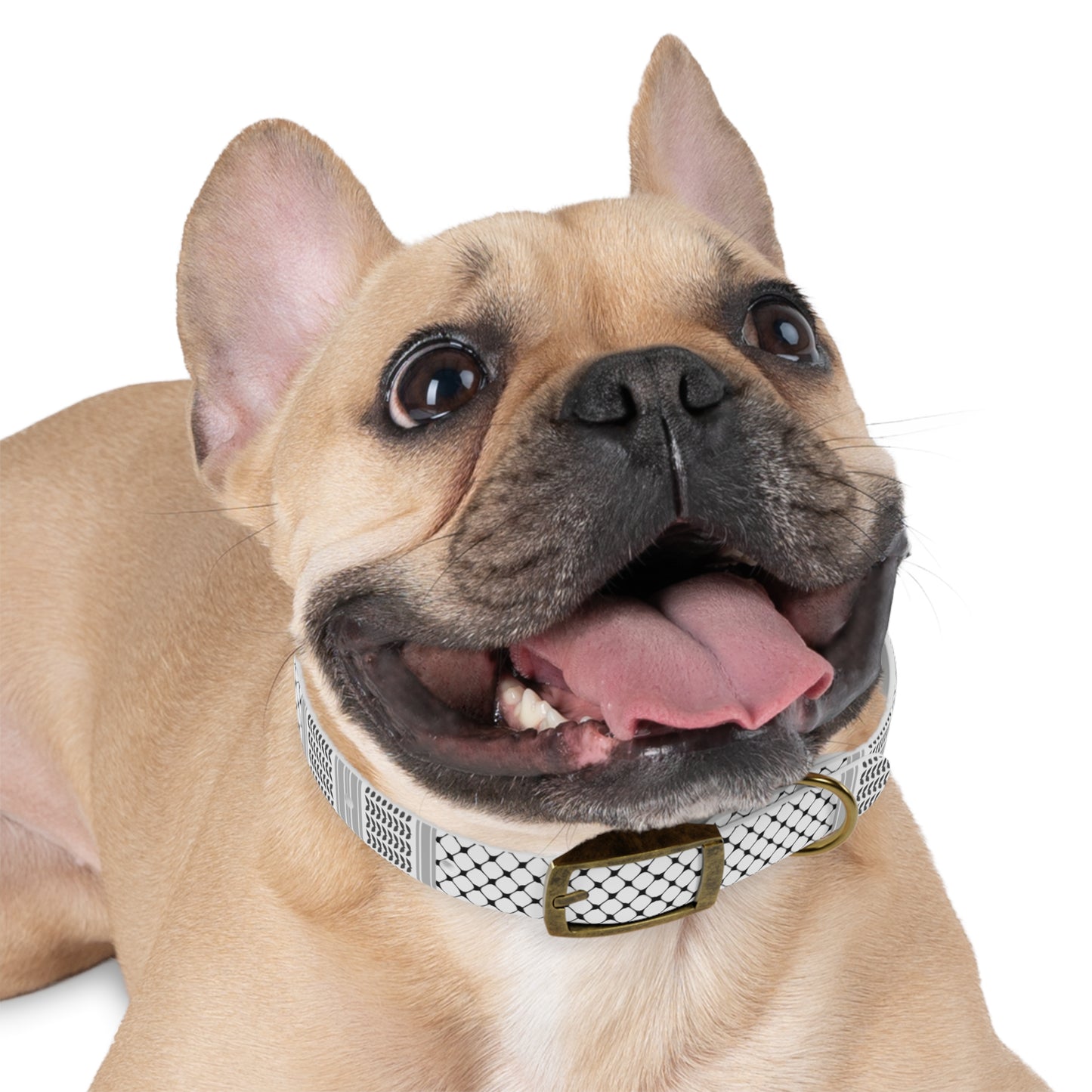 Dog Collar keffiyeh Print