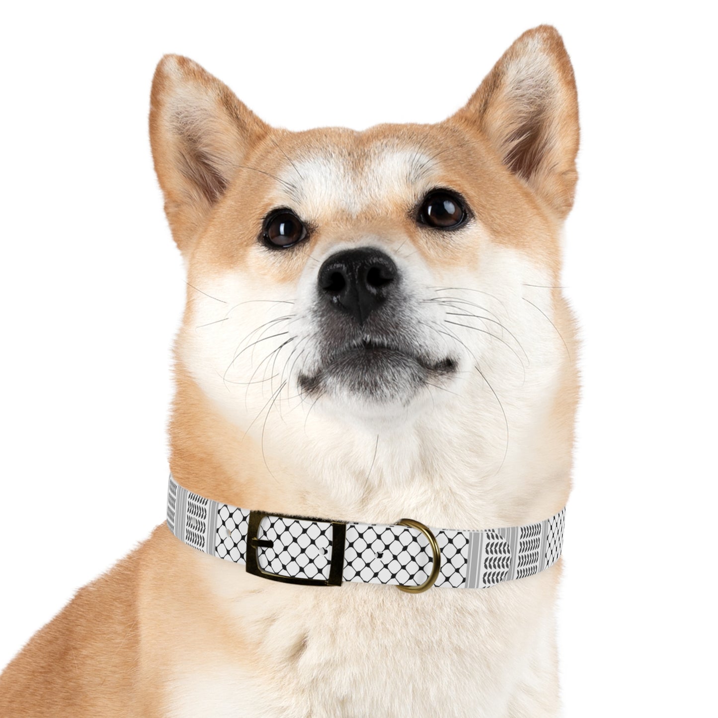 Dog Collar keffiyeh Print