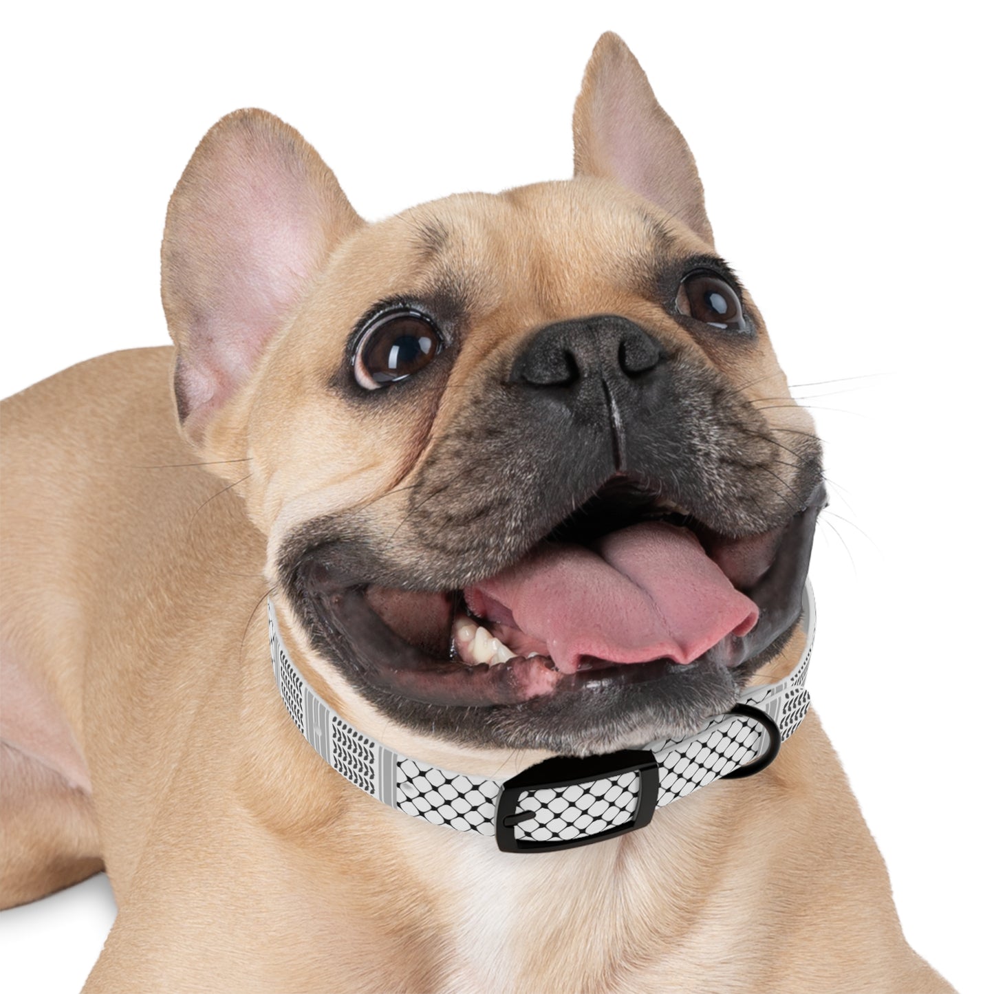 Dog Collar keffiyeh Print