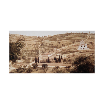 Vintage Palestine photo. Jerusalem olive trees Matte Horizontal Posters