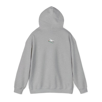 Watermelon Love  Palestine Spring Unisex Heavy Blend™ Hooded Sweatshirt