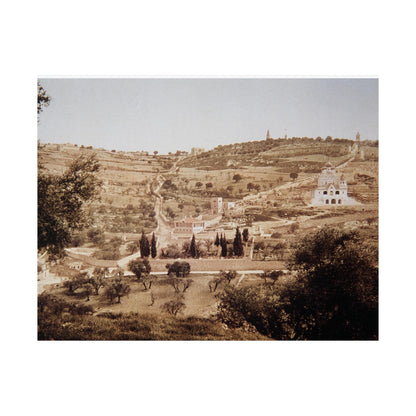 Vintage Palestine photo. Jerusalem olive trees Matte Horizontal Posters