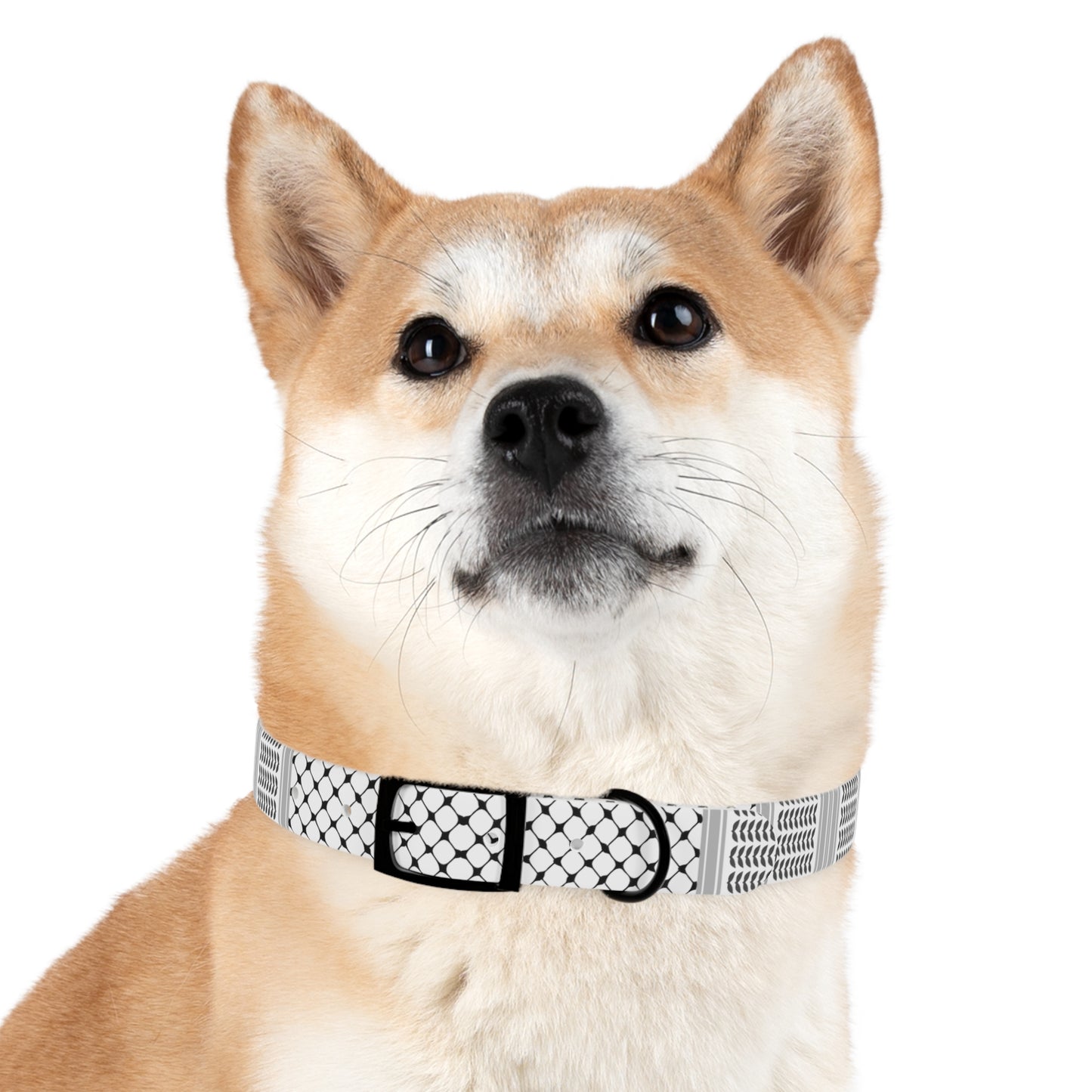 Dog Collar keffiyeh Print