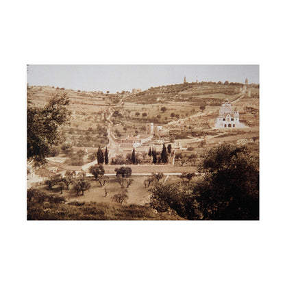 Vintage Palestine photo. Jerusalem olive trees Matte Horizontal Posters