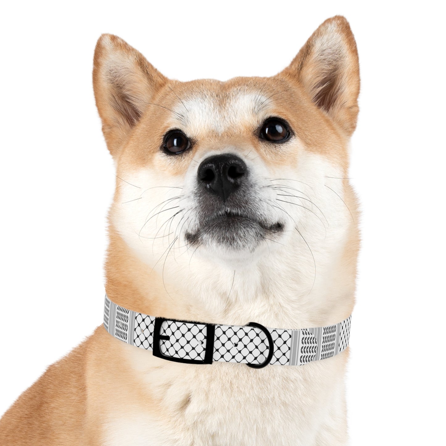 Dog Collar keffiyeh Print