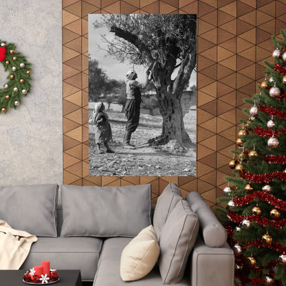 1934 1939 Palestine's Vintage photo Matte Vertical Posters