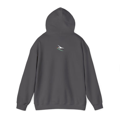 Watermelon Love  Palestine Spring Unisex Heavy Blend™ Hooded Sweatshirt