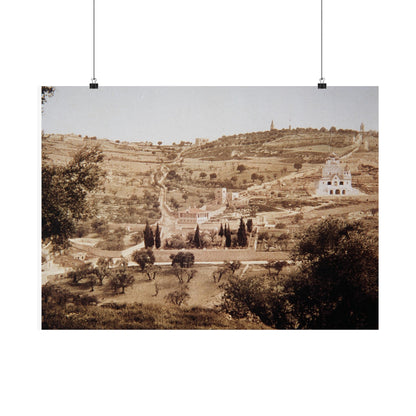Vintage Palestine photo. Jerusalem olive trees Matte Horizontal Posters