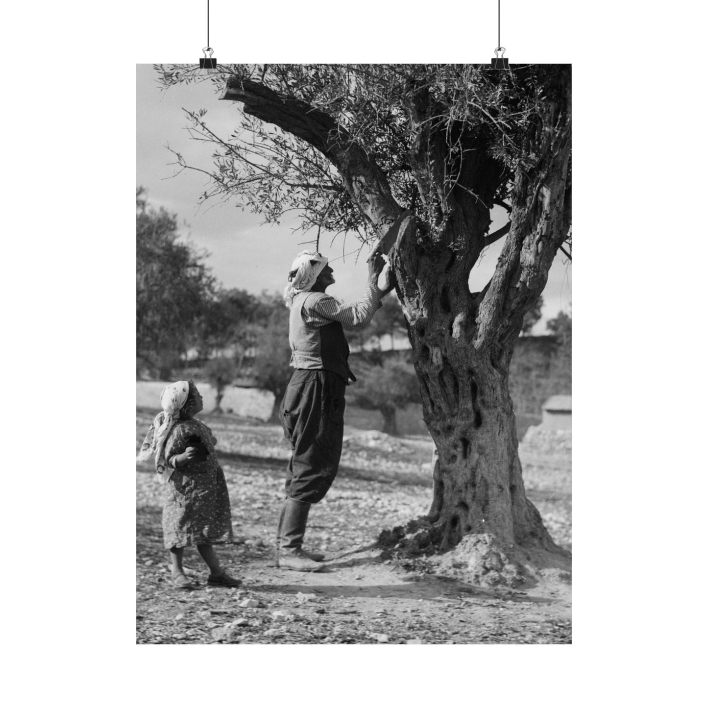 1934 1939 Palestine's Vintage photo Matte Vertical Posters