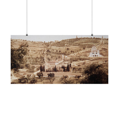Vintage Palestine photo. Jerusalem olive trees Matte Horizontal Posters
