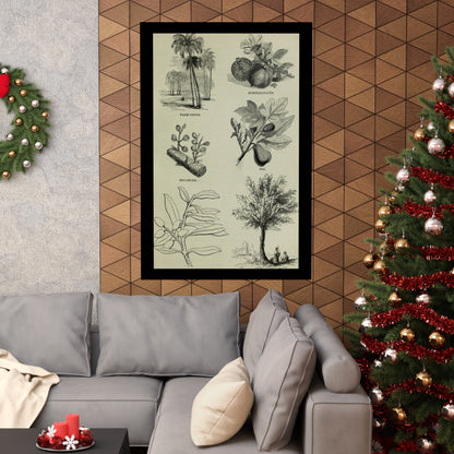Matte Vertical Posters of various plants and trees mentioned in the Bible that were common in Palestine the Holy Land. Vintage Palestine Art