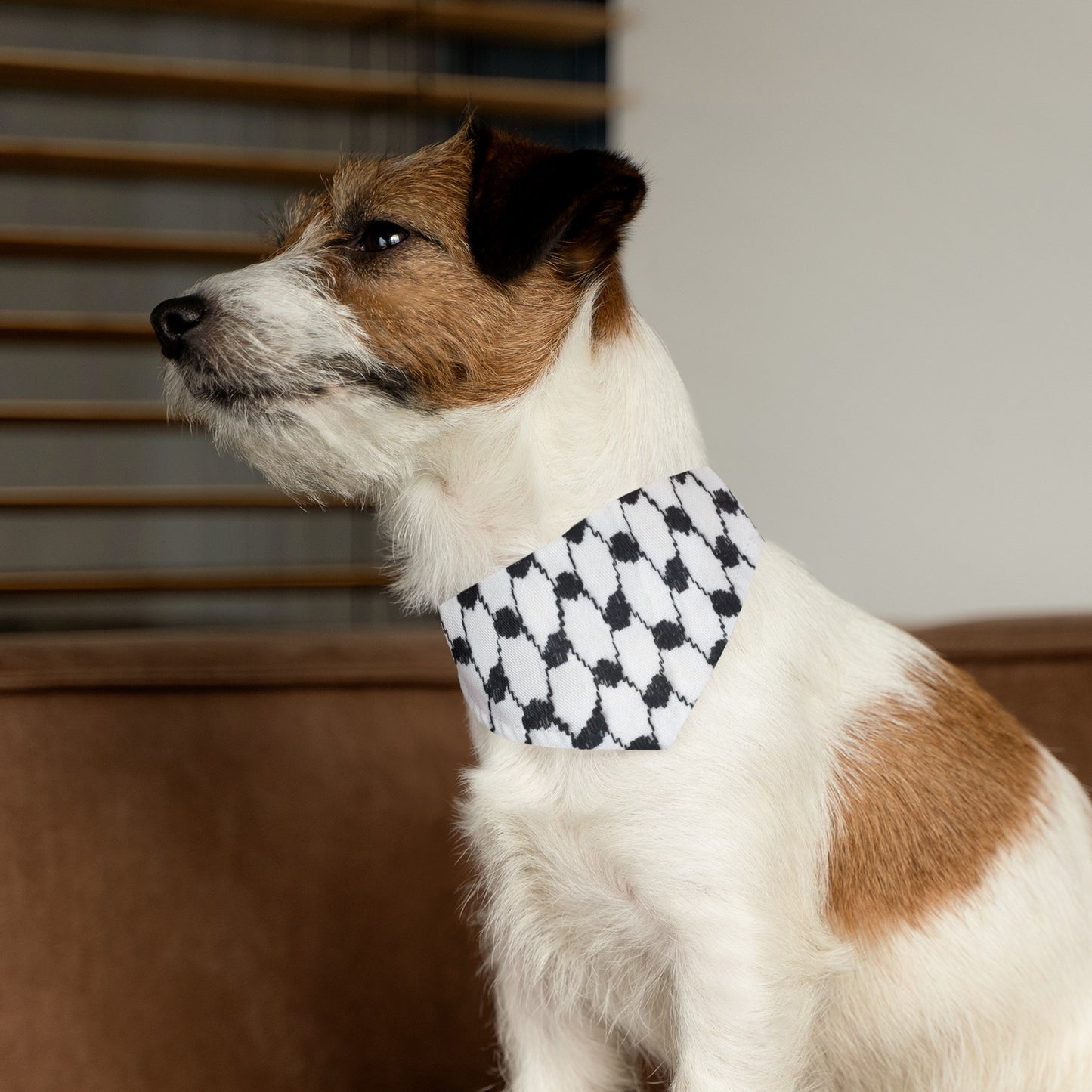 Pet Bandana Collar keffiyeh print