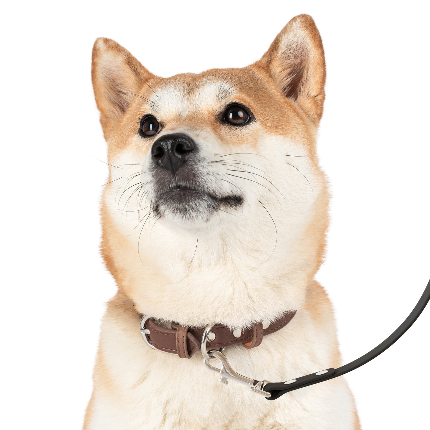 keffiyeh Print pet Leash