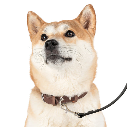 keffiyeh Print pet Leash