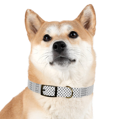 Dog Collar keffiyeh Print
